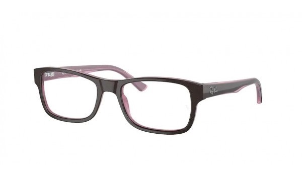 Ray-Ban Eyeglasses RX5268-2126 Brown on Pink