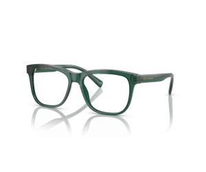 Dolce & Gabbana 0DX3356 3008  Kids Eyeglasses Transparent Green